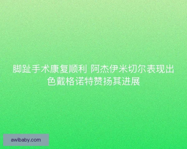 脚趾手术康复顺利 阿杰伊米切尔表现出色戴格诺特赞扬其进展